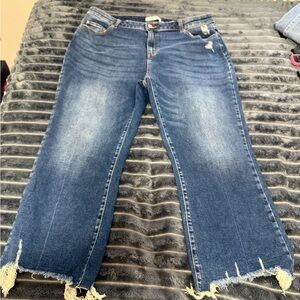 Classic Blue Flare Jeans NWOT
